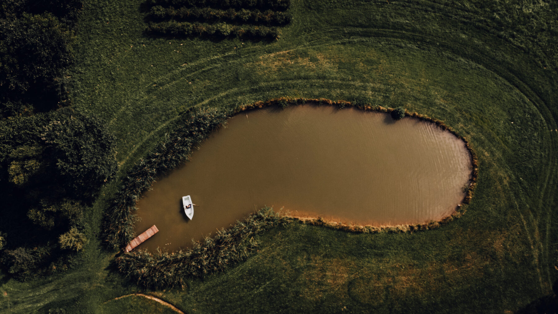 Fotografia z pleneru ślubnego autorstwa Patkolgraphy