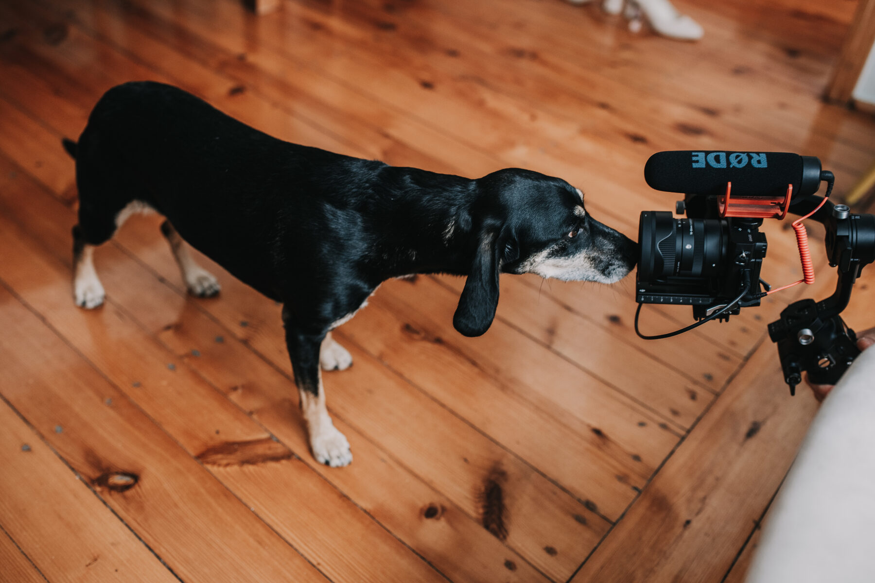 Fotografia z reportażu ślubnego autorstwa Patkolgraphy
